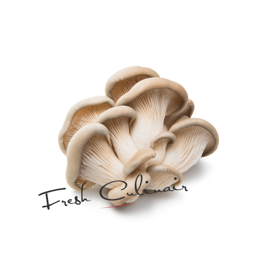 Oyster Mushrooms Fresh Culinair